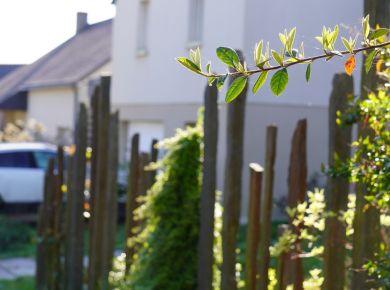 Image de l'opération 00390232